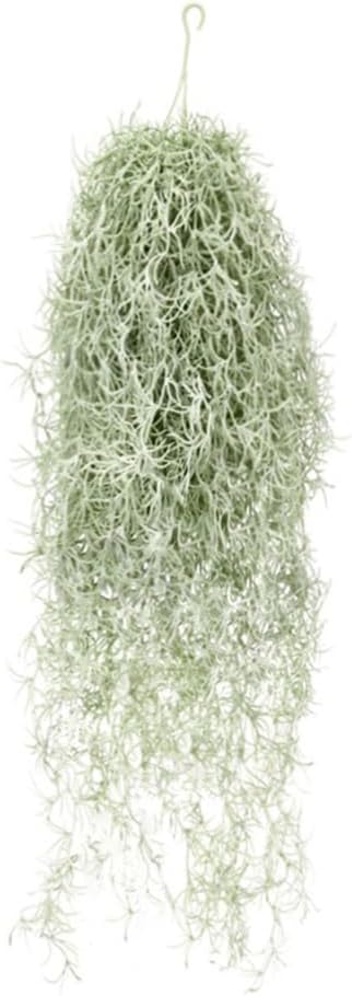 Air Plant Tillandsia - Искусственные флокированные воздушные растения Tillandsia 31