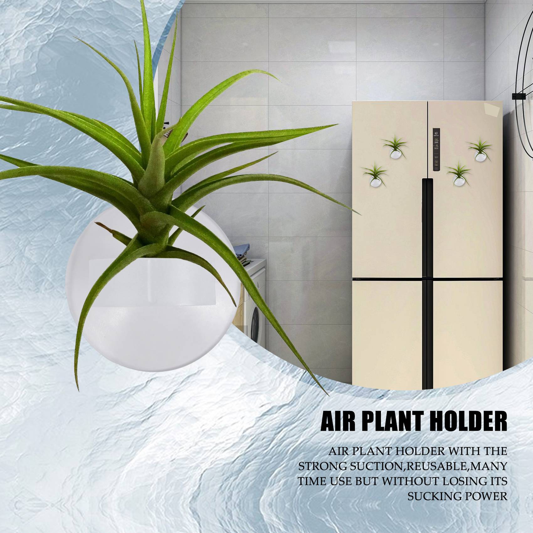 Air Plant Tillandsia - Держатели для воздушных растений AC76-20, 20
