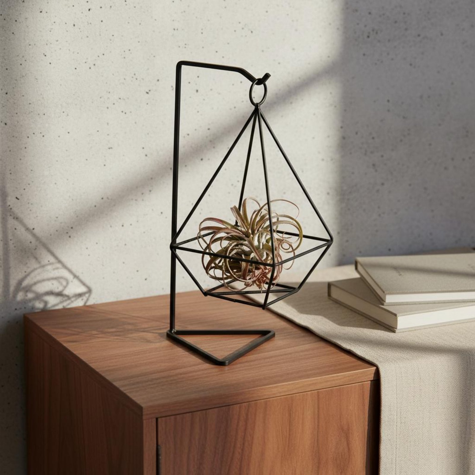 Air Plant Tillandsia - Геометрическая подставка для воздушных растений: минималистичный