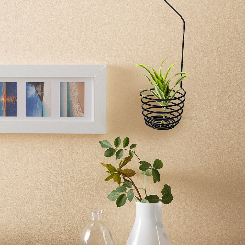 Набор из 3 спиральных металлич – обзор и цена Air Plant Tillandsia
