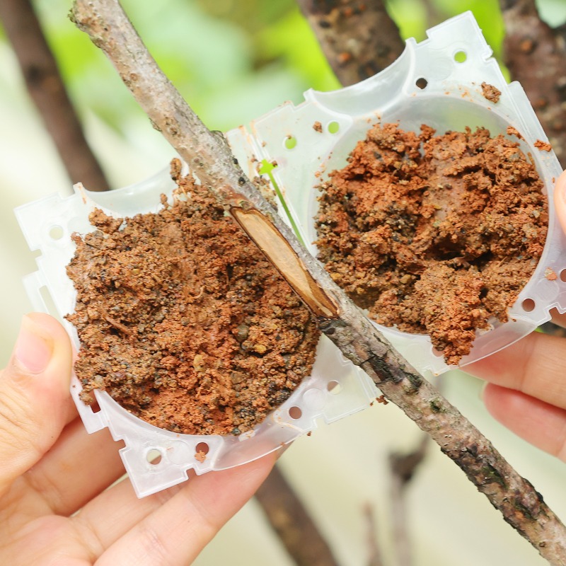 Многоразовые инструменты для у – обзор и цена Plant Parent