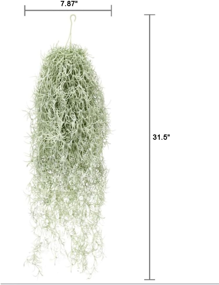 Искусственные флокированные во – обзор и цена Air Plant Tillandsia
