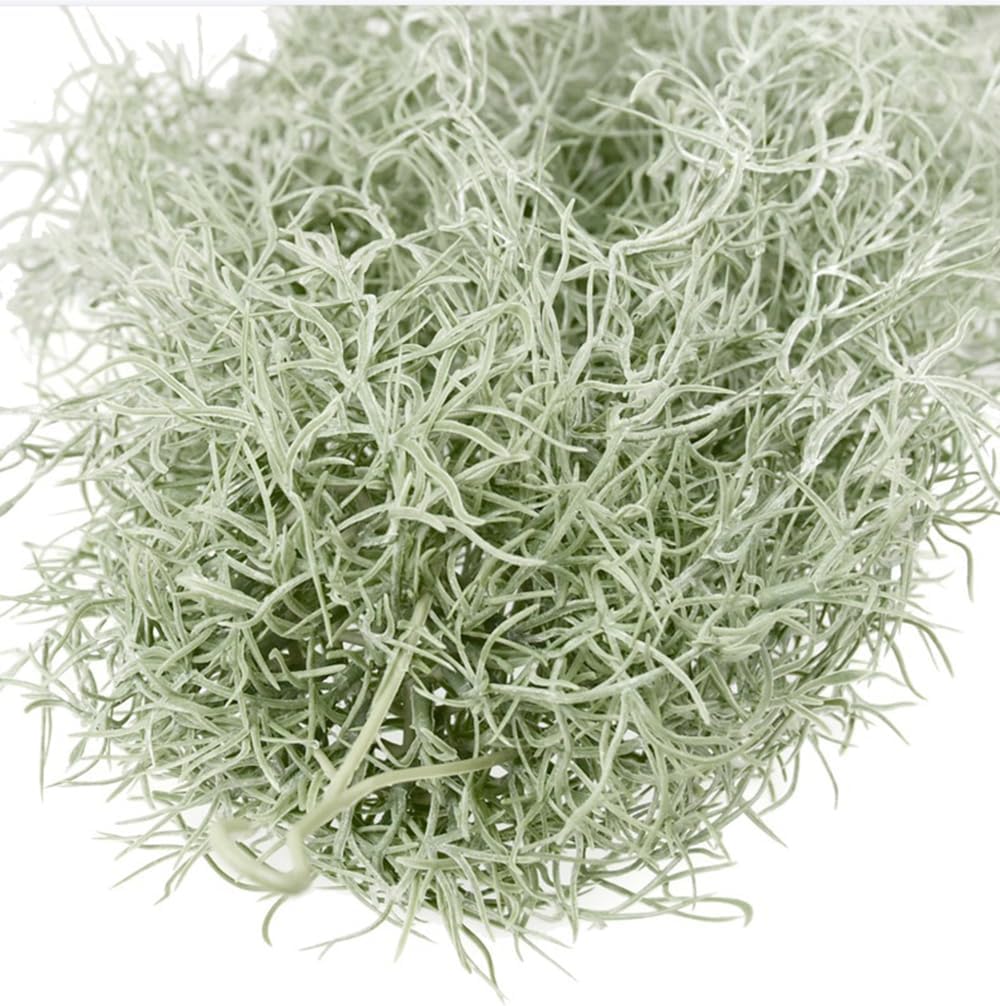 Искусственные флокированные во – обзор и цена Air Plant Tillandsia