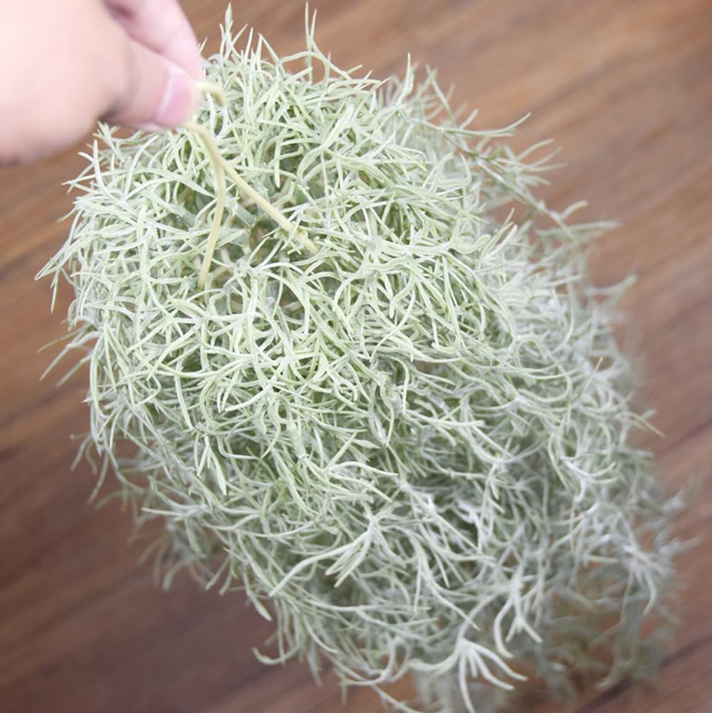 Искусственные флокированные во – обзор и цена Air Plant Tillandsia