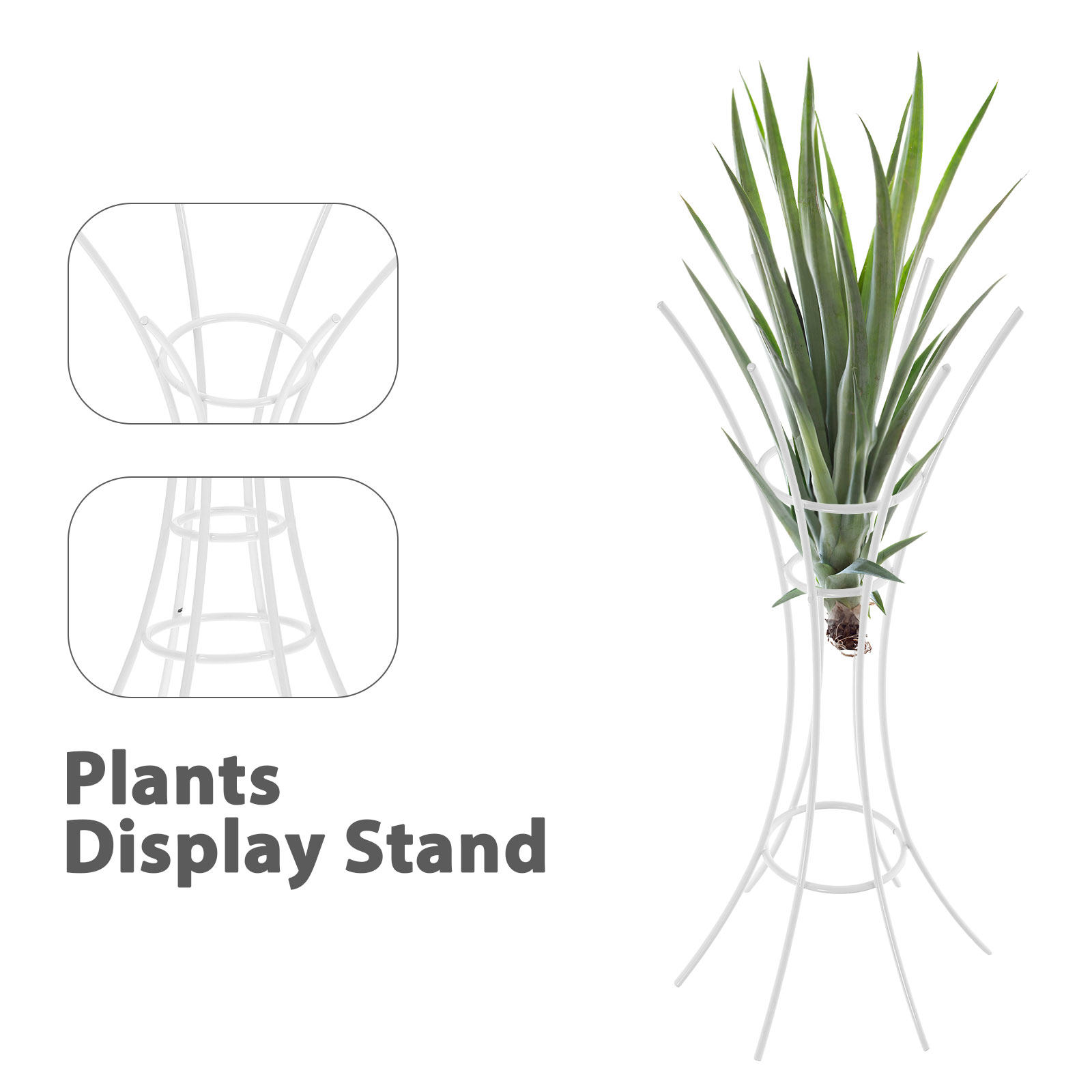 Металлическая подставка-держат – обзор и цена Air Plant Tillandsia
