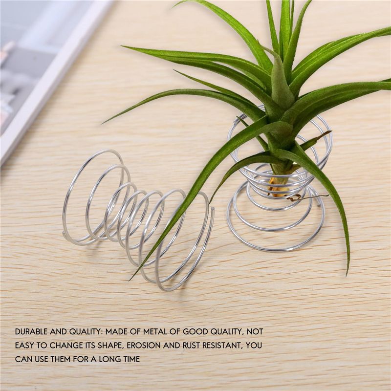 Хит продаж: Набор из 6 подстав – обзор и цена Air Plant Tillandsia