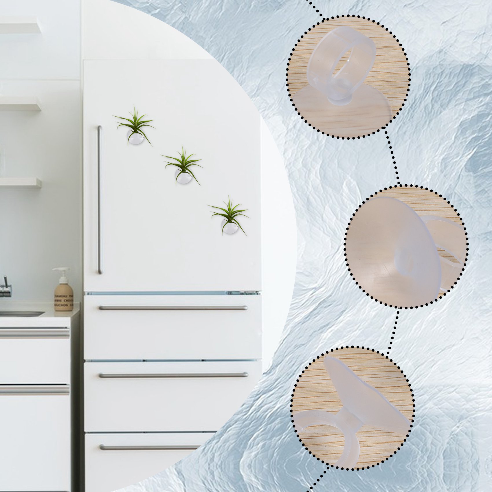 Держатели для воздушных растен – обзор и цена Air Plant Tillandsia