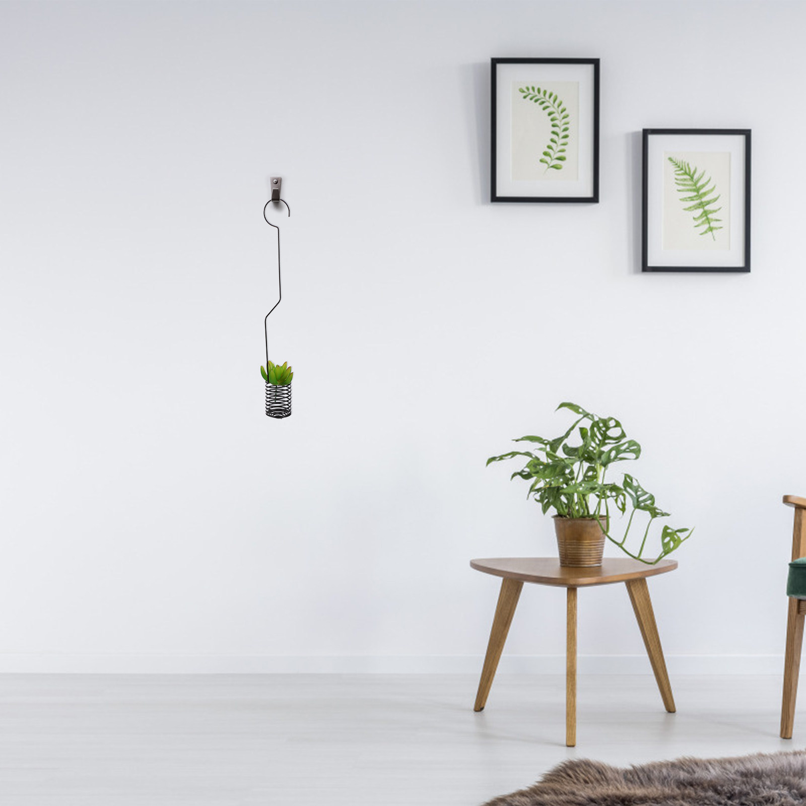 1 шт. Винтажный металлический  – обзор и цена Air Plant Tillandsia