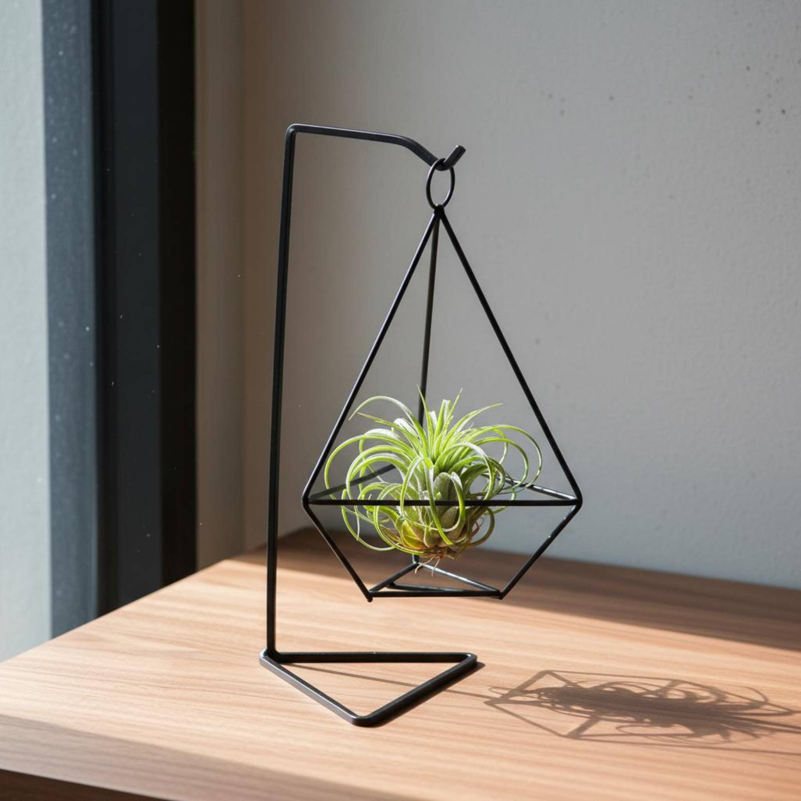 Геометрическая подставка для в – обзор и цена Air Plant Tillandsia