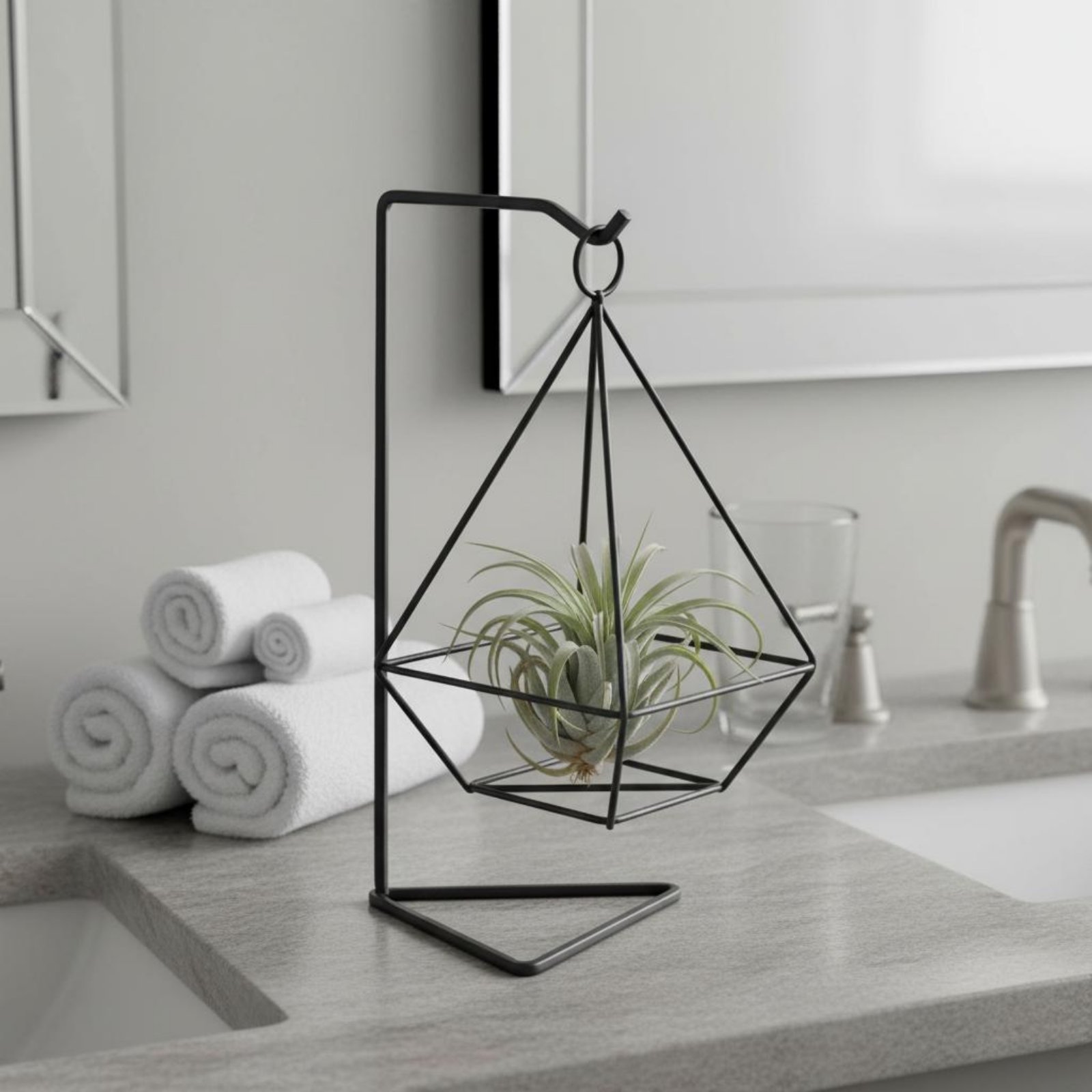 Геометрическая подставка для в – обзор и цена Air Plant Tillandsia