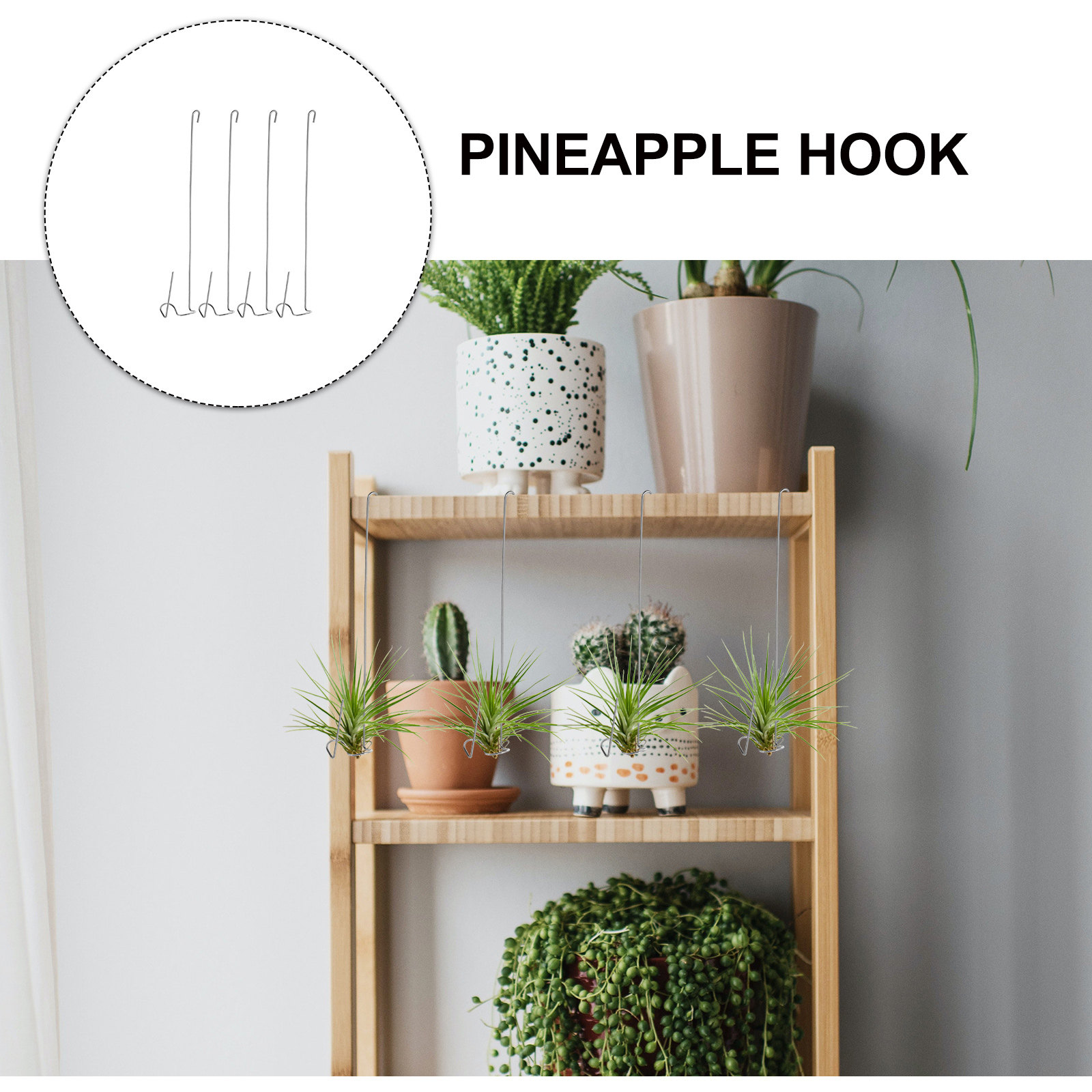 Набор из 4 крючков из нержавею – обзор и цена Air Plant Tillandsia