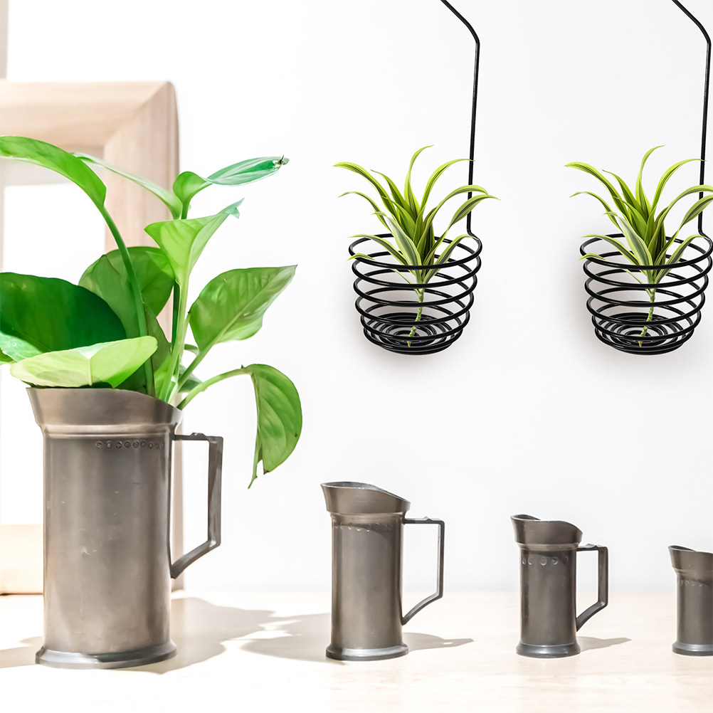 3 шт. прочных металлических сп – обзор и цена Air Plant Tillandsia