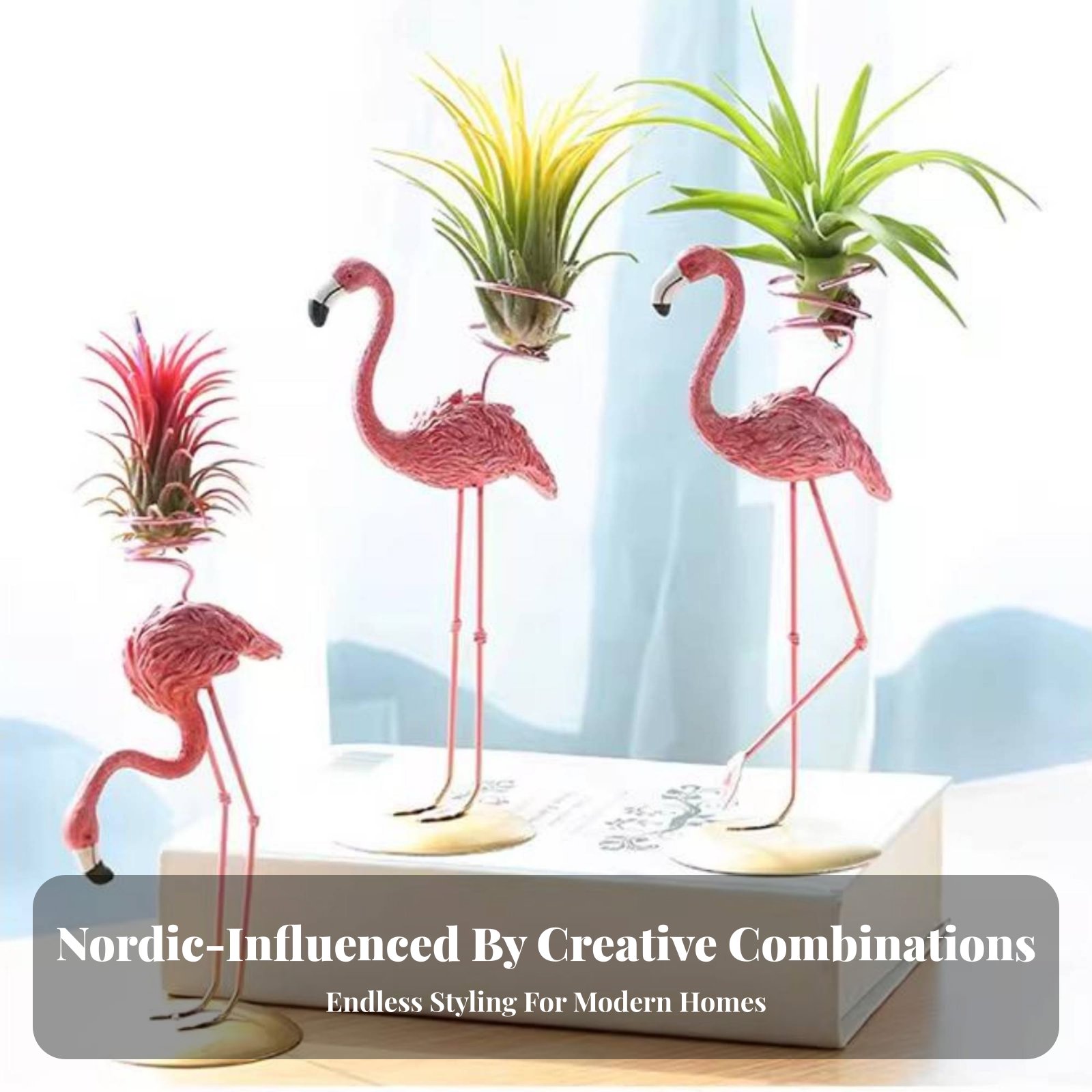 Геометрическая подставка для т – обзор и цена Air Plant Tillandsia